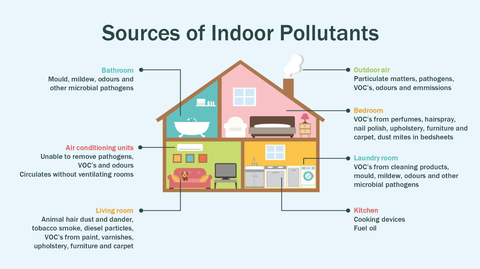 Best Indoor Locations for Your Air Purifier